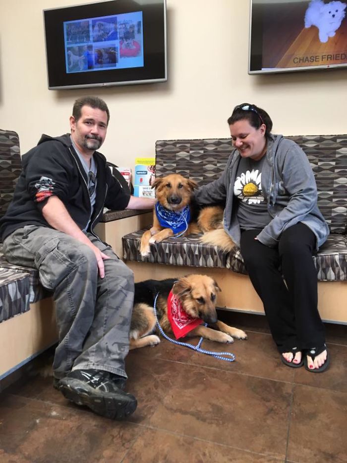 Shelter Dogs Frightened To Be Separated Wouldn&#8217;t Let Go Of Each Other, So Someone Adopted Them Both