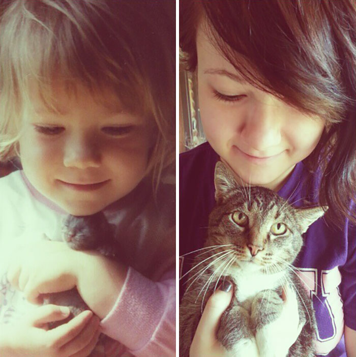 Share Then And Now Pictures Of Your Cat Growing Up