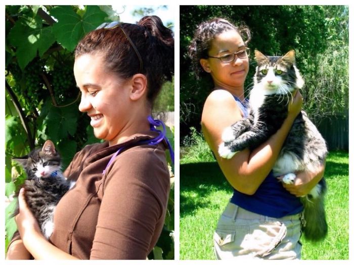 Share Then And Now Pictures Of Your Cat Growing Up