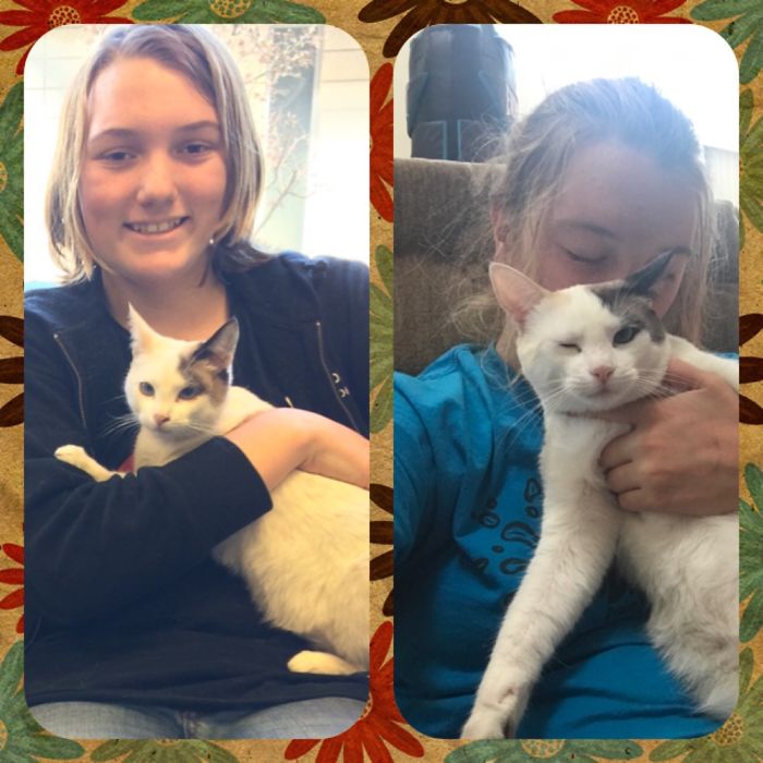 Share Then And Now Pictures Of Your Cat Growing Up