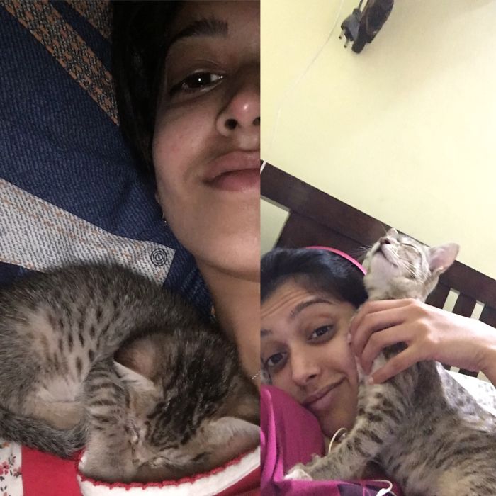 Share Then And Now Pictures Of Your Cat Growing Up