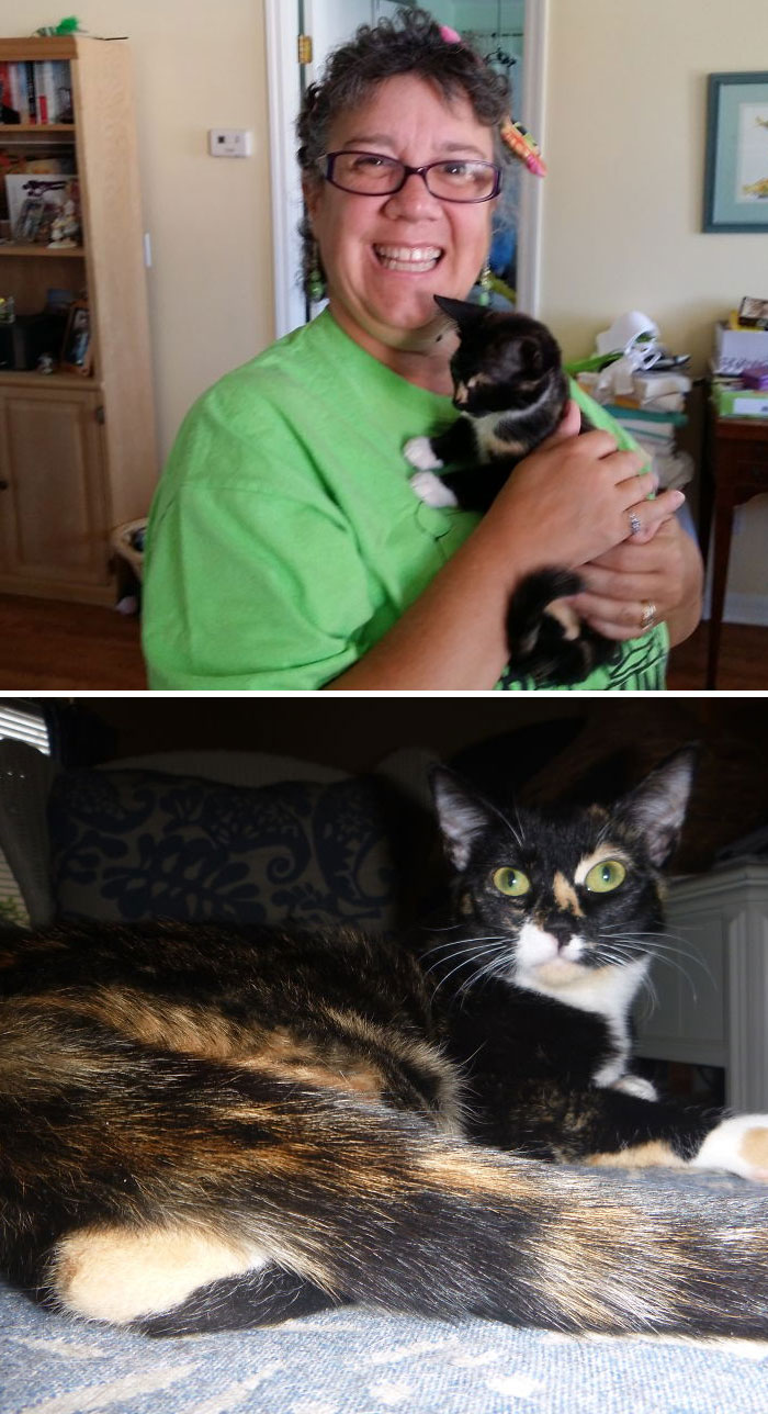 Share Then And Now Pictures Of Your Cat Growing Up