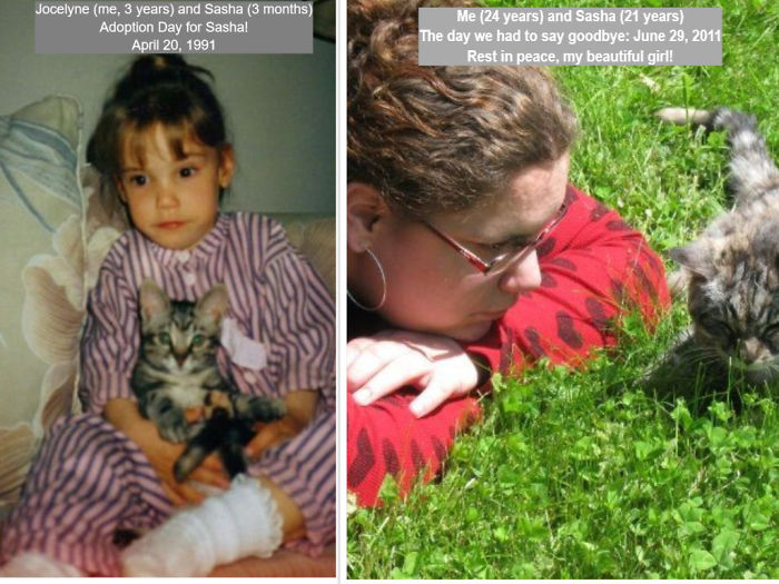Share Then And Now Pictures Of Your Cat Growing Up