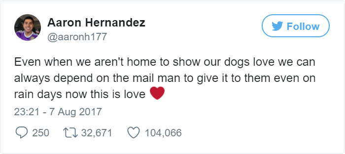 Secret Camera Captures What The New Mailman Does With Family&#8217;s Dogs When They&#8217;re Gone