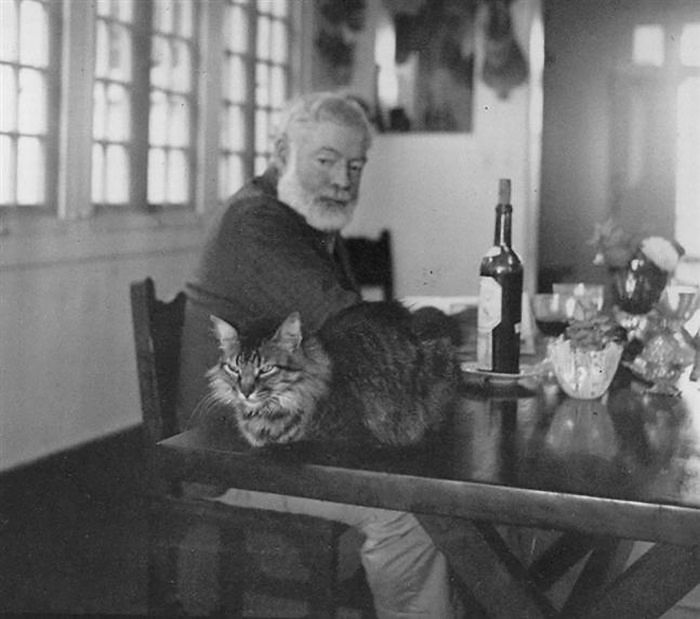 15 Famous People And Their Cats