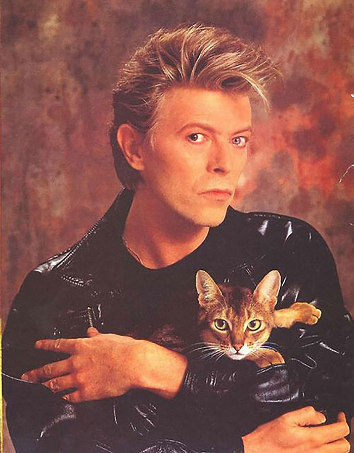 15 Famous People And Their Cats