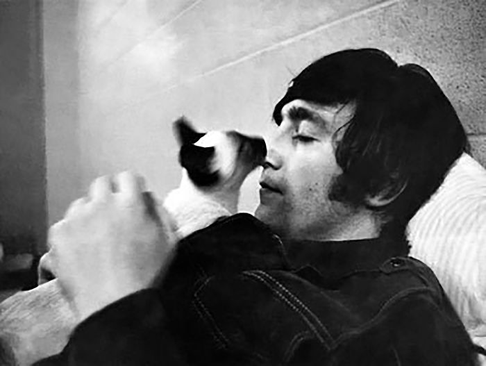 15 Famous People And Their Cats