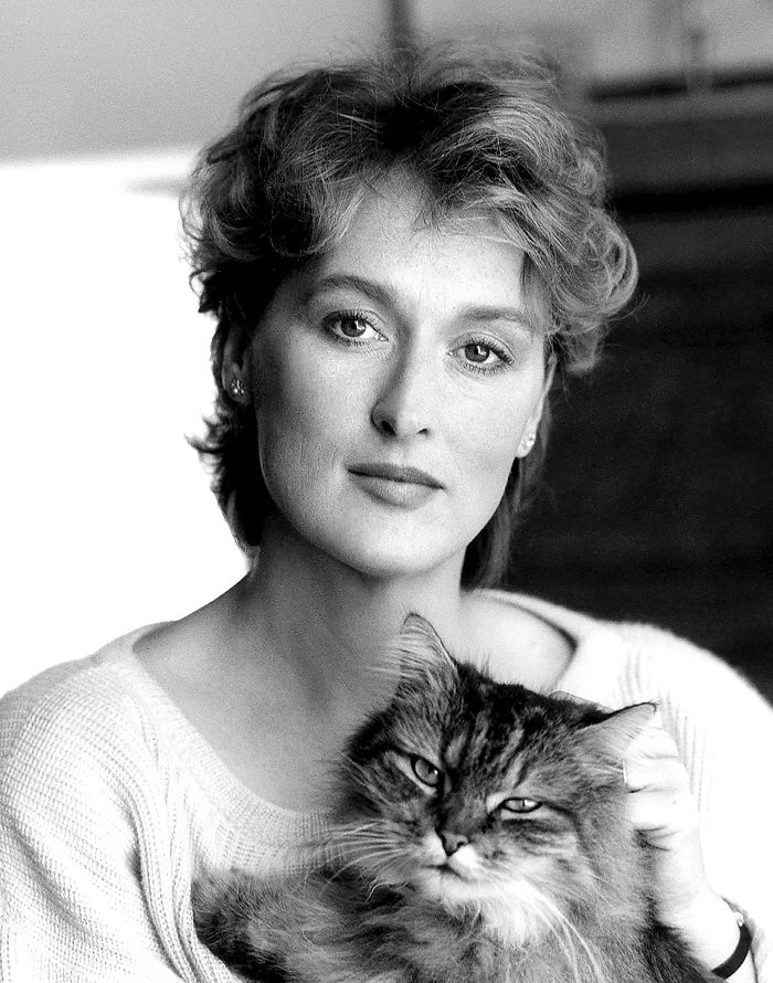 15 Famous People And Their Cats