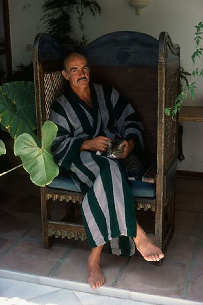 15 Famous People And Their Cats