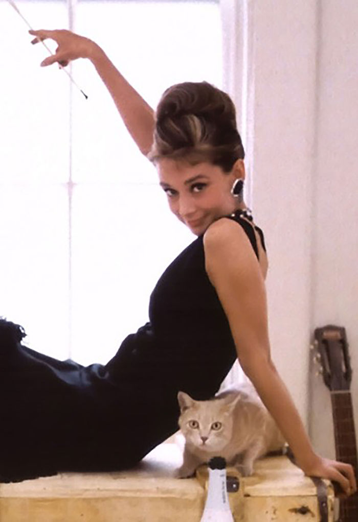 15 Famous People And Their Cats