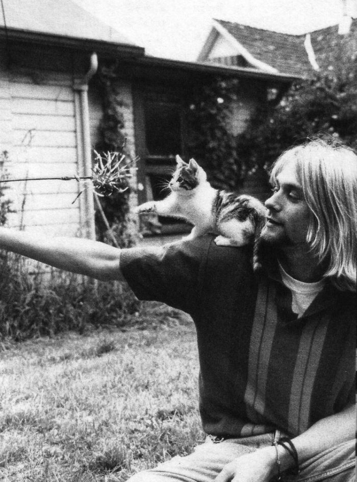 15 Famous People And Their Cats