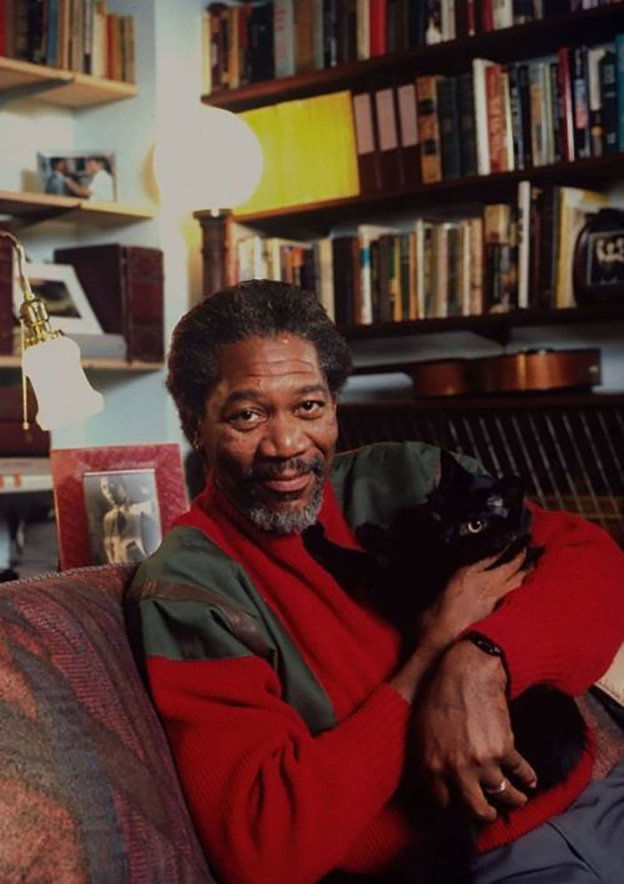15 Famous People And Their Cats