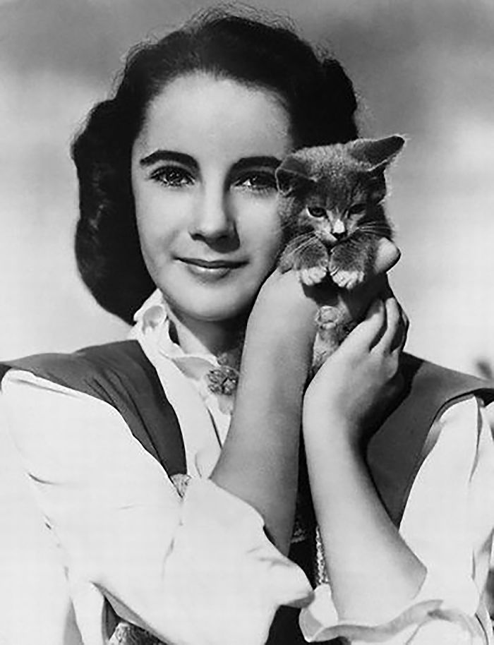 15 Famous People And Their Cats