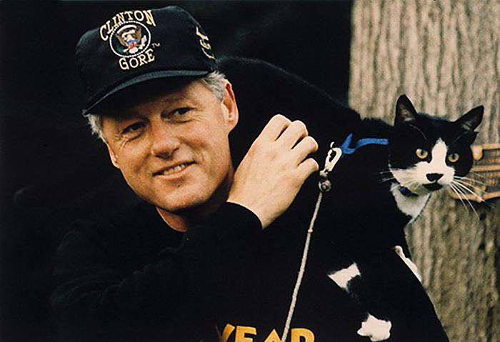 15 Famous People And Their Cats