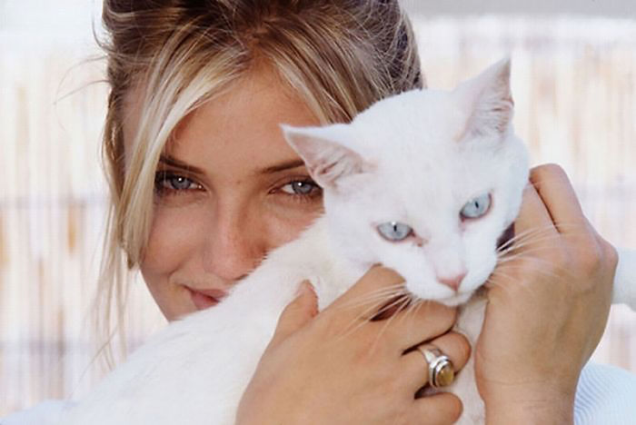 15 Famous People And Their Cats