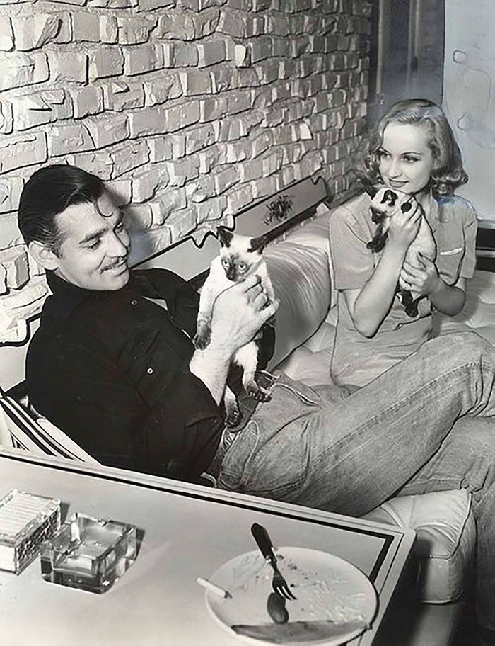 15 Famous People And Their Cats