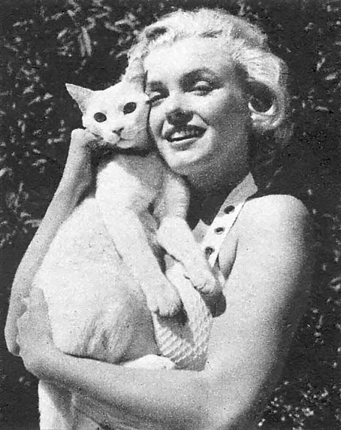 15 Famous People And Their Cats