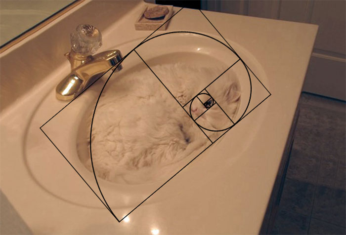 Furbonacci Sequence Proves That Cats Are Purrfect (20 Pics)