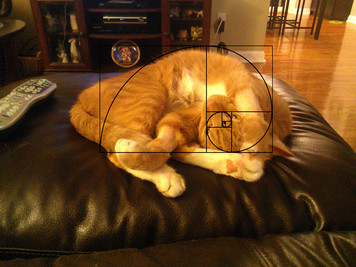 Furbonacci Sequence Proves That Cats Are Purrfect (20 Pics)