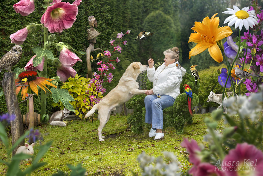 This Photographer Took Dogs From A Shelter And Created Another World For Them