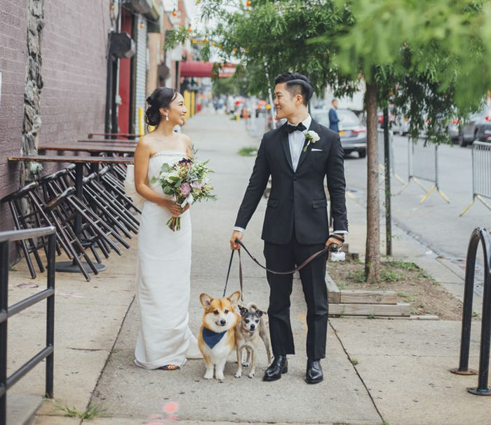 Couples Found A Way To Include Their Dogs Into Their Wedding And It&#8217;s Absolutely Pawsome