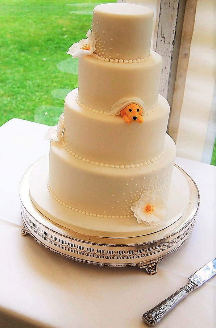 Couples Found A Way To Include Their Dogs Into Their Wedding And It&#8217;s Absolutely Pawsome