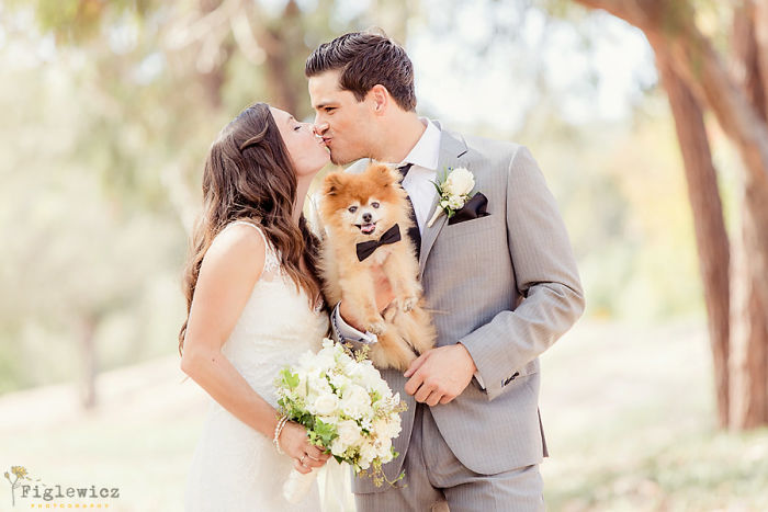 Couples Found A Way To Include Their Dogs Into Their Wedding And It&#8217;s Absolutely Pawsome