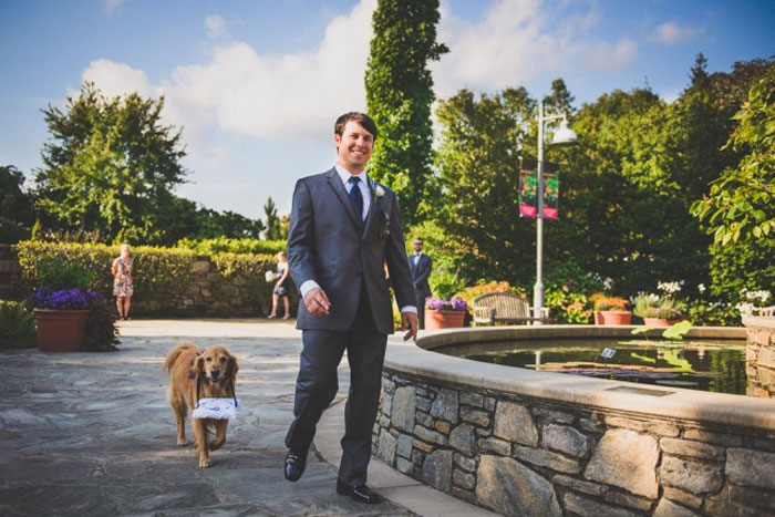 Couples Found A Way To Include Their Dogs Into Their Wedding And It&#8217;s Absolutely Pawsome