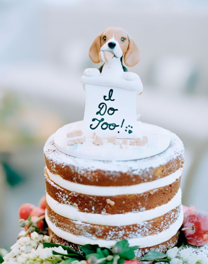 Couples Found A Way To Include Their Dogs Into Their Wedding And It&#8217;s Absolutely Pawsome