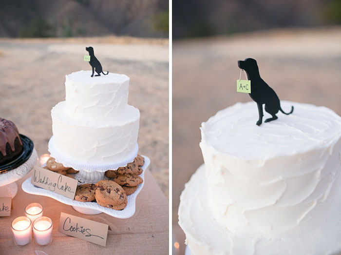 Couples Found A Way To Include Their Dogs Into Their Wedding And It&#8217;s Absolutely Pawsome