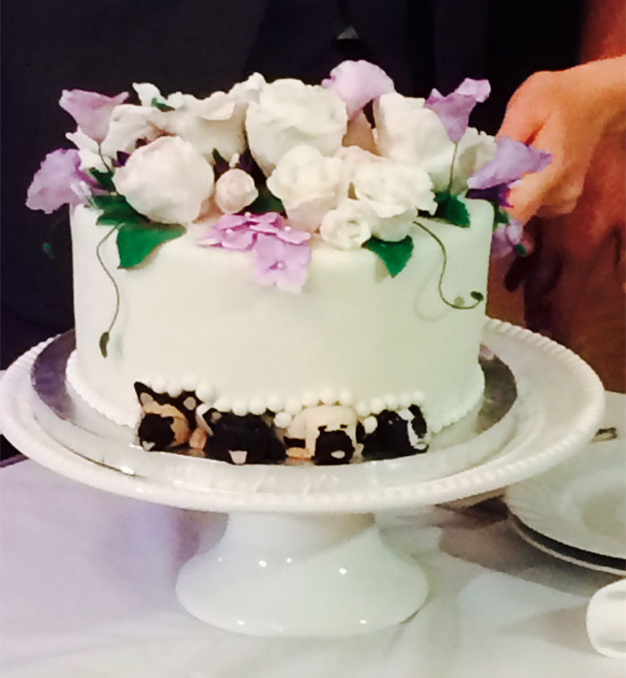Couples Found A Way To Include Their Dogs Into Their Wedding And It&#8217;s Absolutely Pawsome
