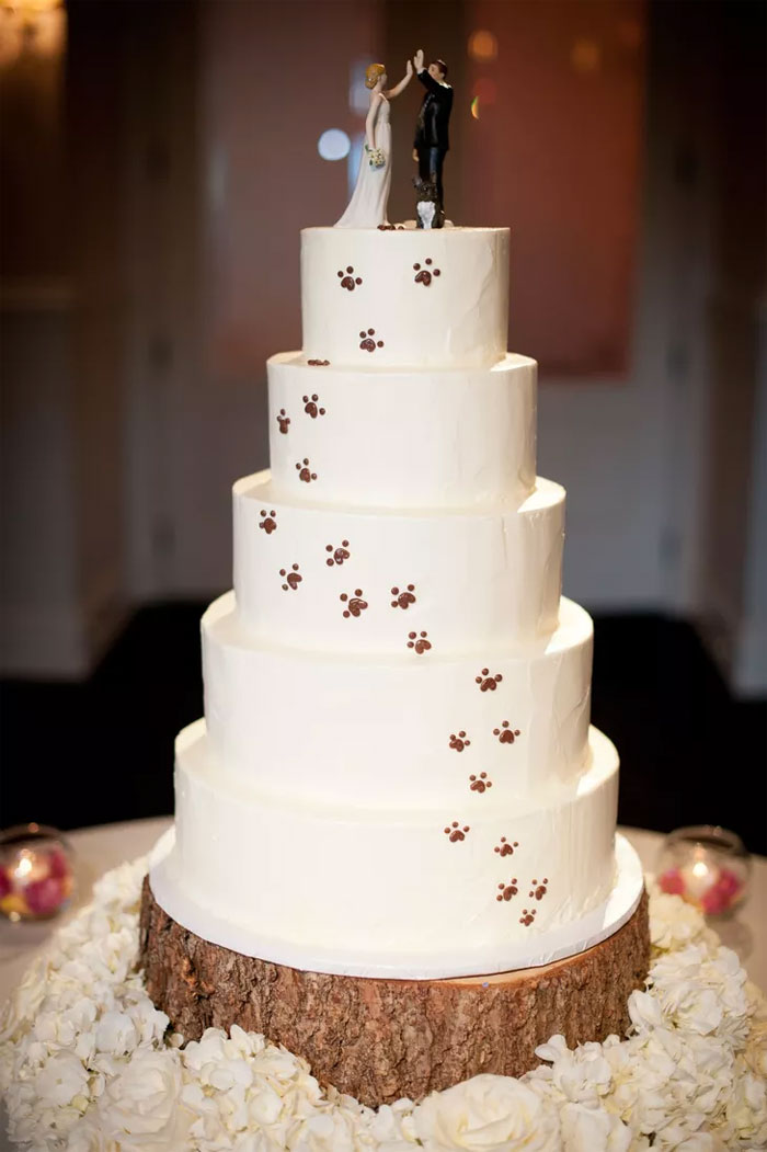 Couples Found A Way To Include Their Dogs Into Their Wedding And It&#8217;s Absolutely Pawsome
