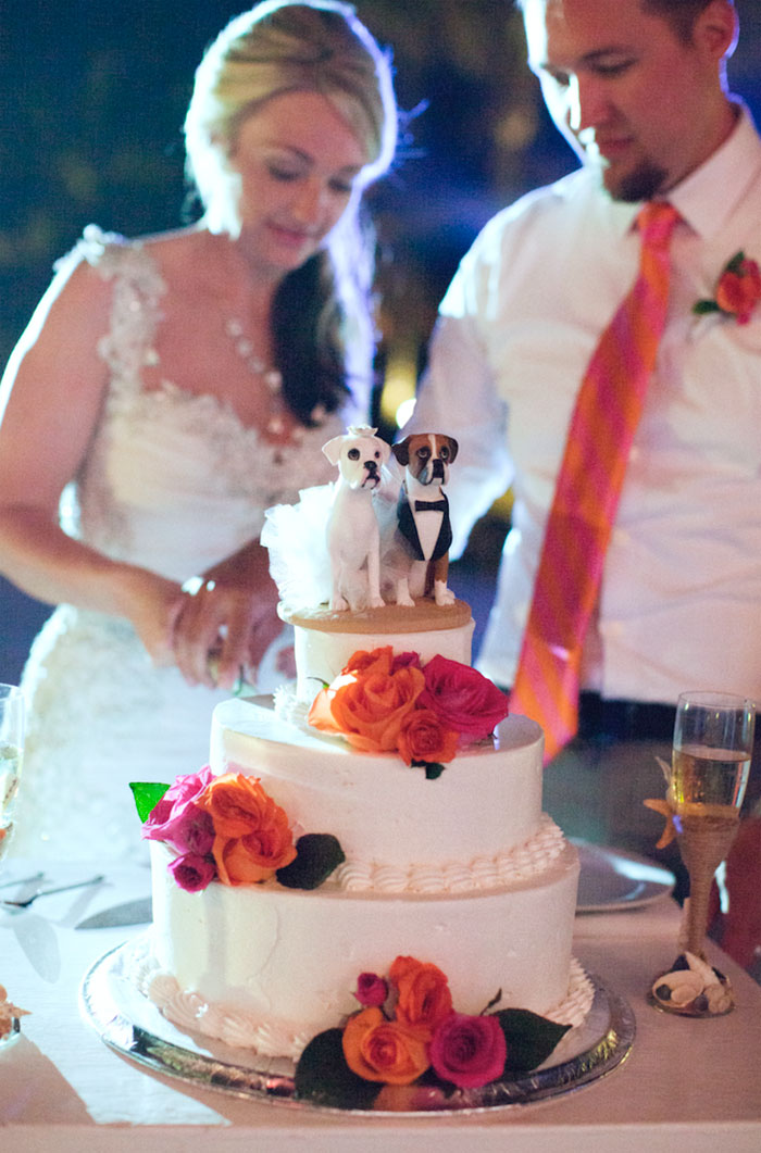 Couples Found A Way To Include Their Dogs Into Their Wedding And It&#8217;s Absolutely Pawsome