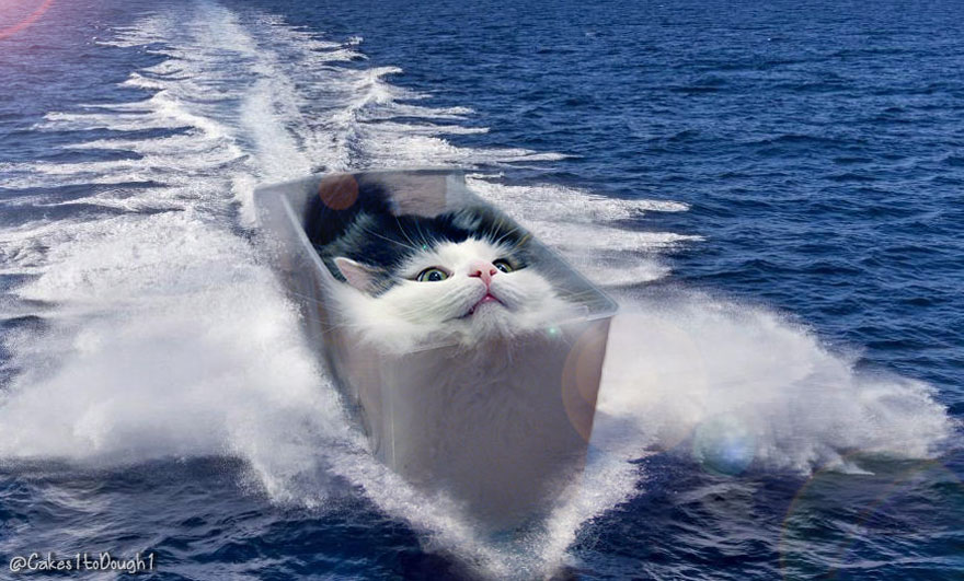 “I Have Been Photoshopping My Cats For The Past Few Years. Have Things Gone Too Far?” (26 Pics)