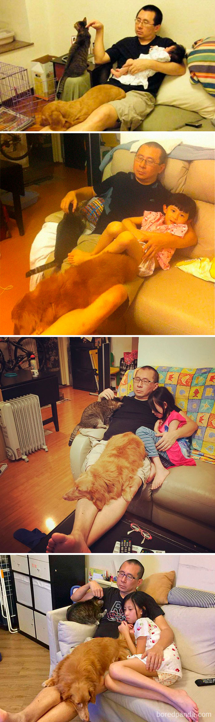 30 Photos Of Dogs Growing Up Next To Their Owners