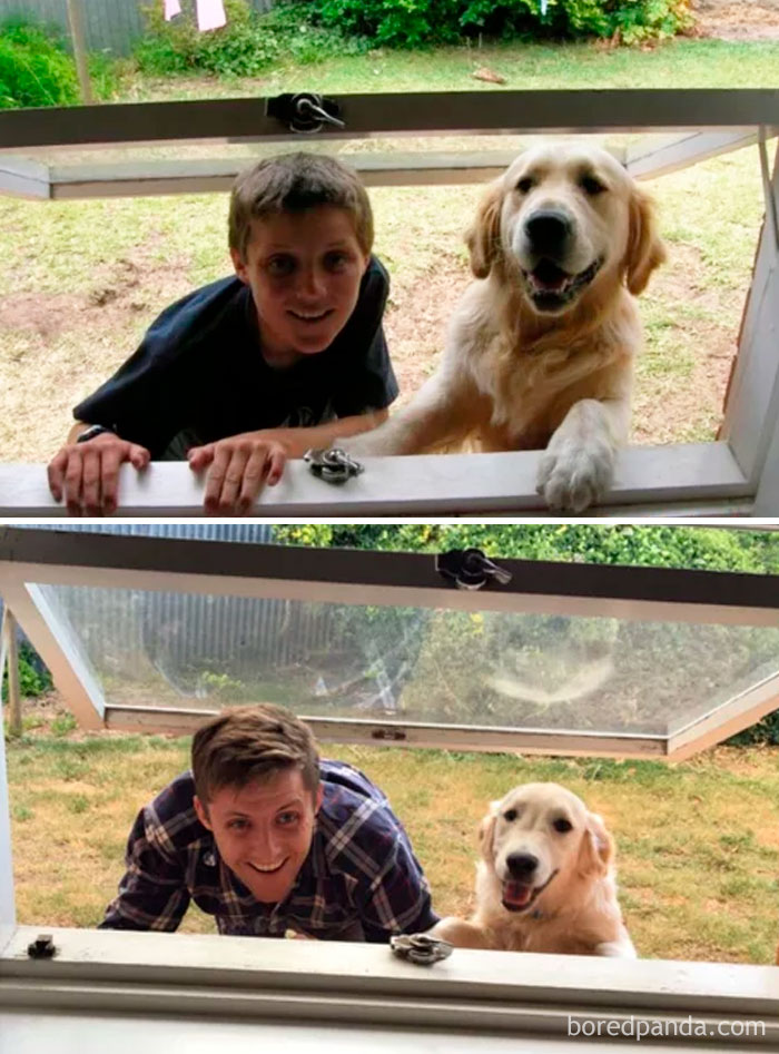 30 Photos Of Dogs Growing Up Next To Their Owners