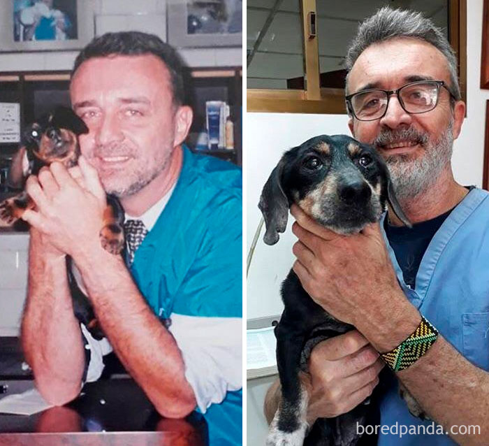 30 Photos Of Dogs Growing Up Next To Their Owners