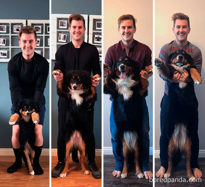 30 Photos Of Dogs Growing Up Next To Their Owners