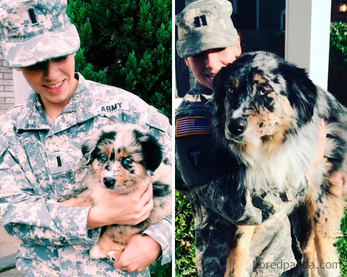 30 Photos Of Dogs Growing Up Next To Their Owners
