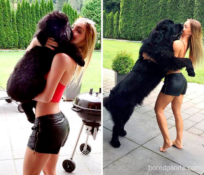 30 Photos Of Dogs Growing Up Next To Their Owners