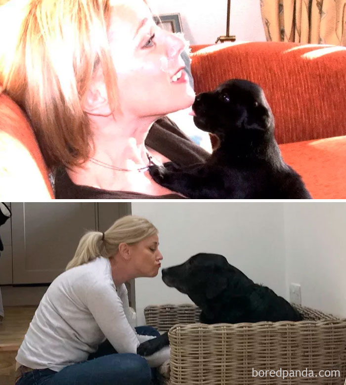 30 Photos Of Dogs Growing Up Next To Their Owners