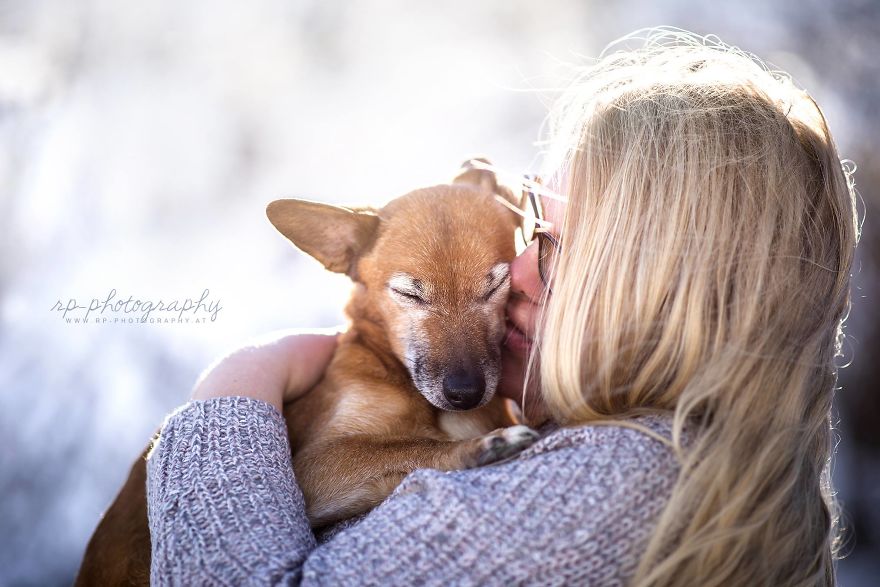 I Capture The Whimsical Side Of Dogs In My Photography (48 Pics)