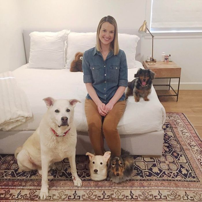 This Company Makes Slippers That Look Just Like People&#8217;s Pets And They Are So Realistic That Dogs Get Jealous