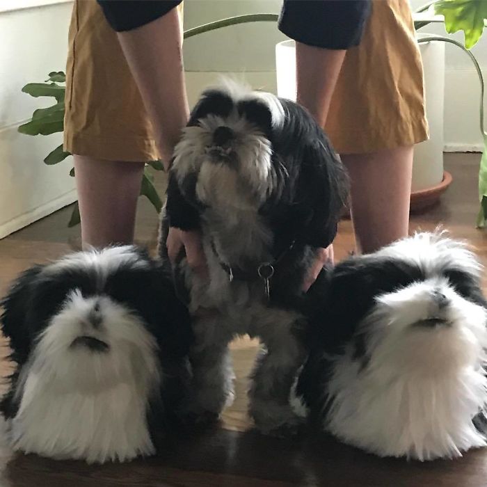 This Company Makes Slippers That Look Just Like People&#8217;s Pets And They Are So Realistic That Dogs Get Jealous