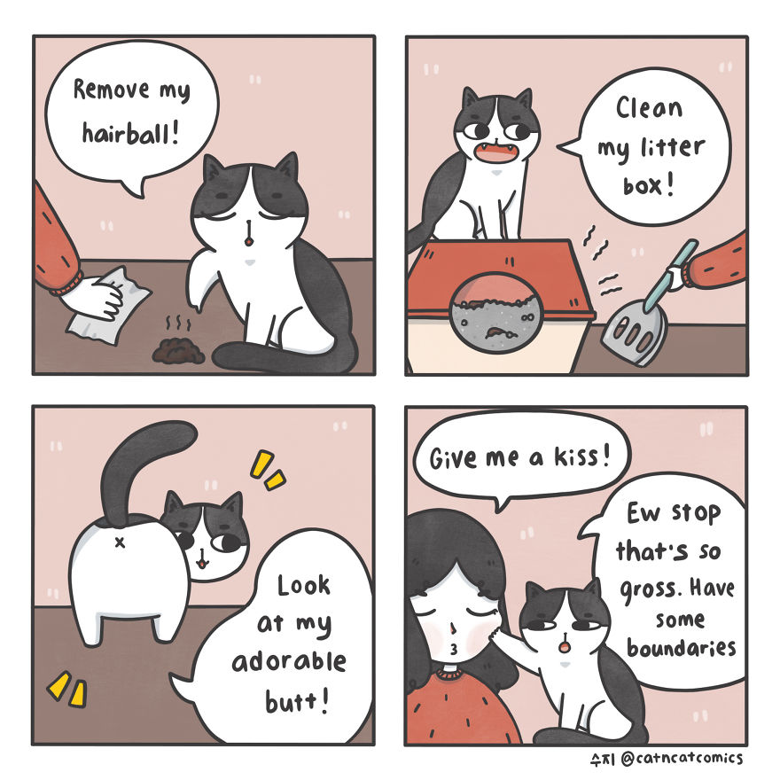I Make Wholesome Comics About Two Rescue Cats And Their Human Who Understands Cat-Speak