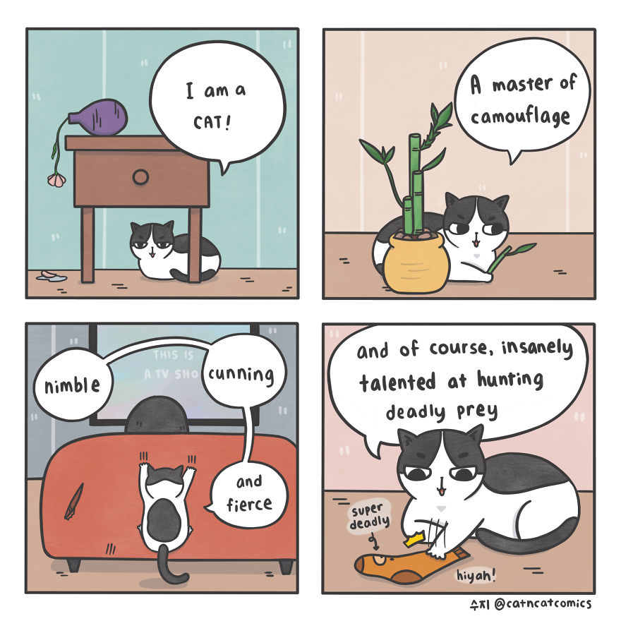 I Make Wholesome Comics About Two Rescue Cats And Their Human Who Understands Cat-Speak