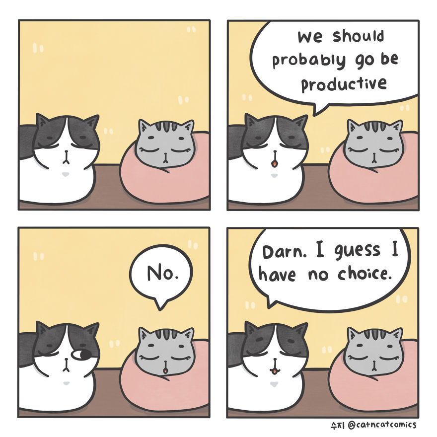 I Make Wholesome Comics About Two Rescue Cats And Their Human Who Understands Cat-Speak