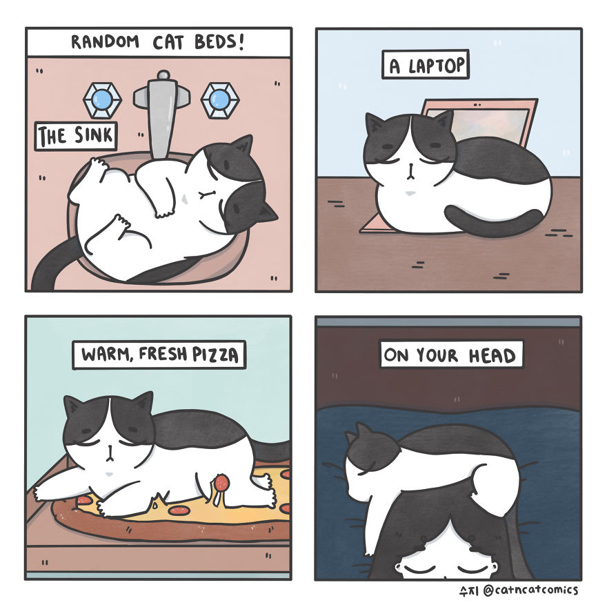 I Make Wholesome Comics About Two Rescue Cats And Their Human Who Understands Cat-Speak