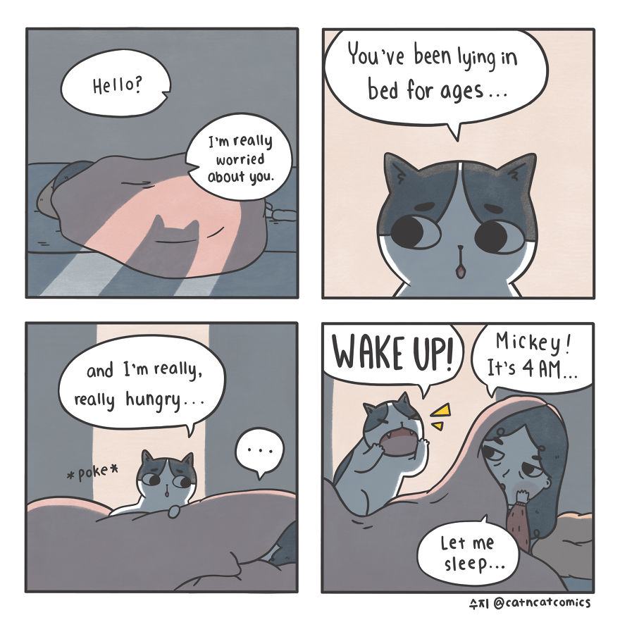 I Make Wholesome Comics About Two Rescue Cats And Their Human Who Understands Cat-Speak