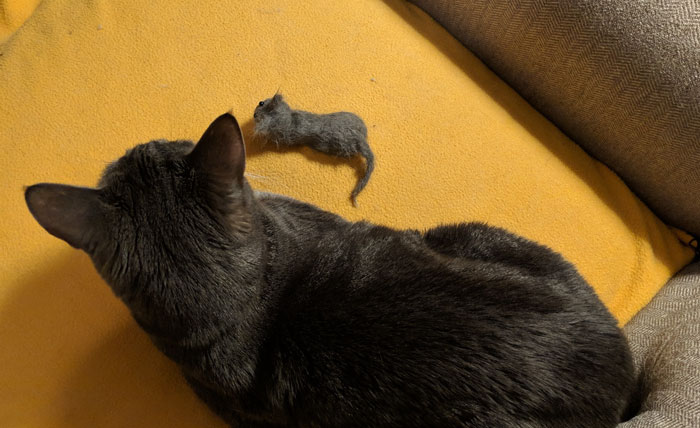 Woman Makes &#8216;A Cat Out Of Her Cat&#8217; By Using Cat&#8217;s Hair And The Result Inspires Others To Do The Same